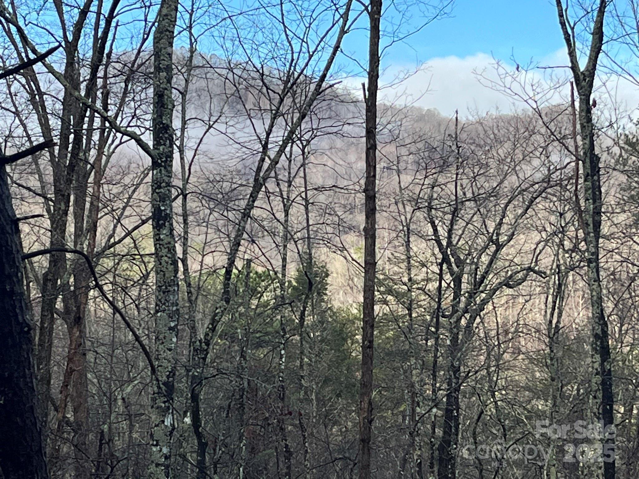 00 Ridgecrest Drive Lake Lure NC 28746