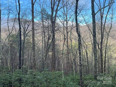 00 Ridgecrest Drive Lake Lure NC 28746