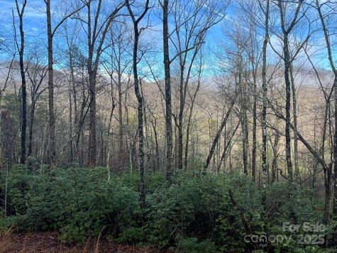 00 Ridgecrest Drive Lake Lure NC 28746