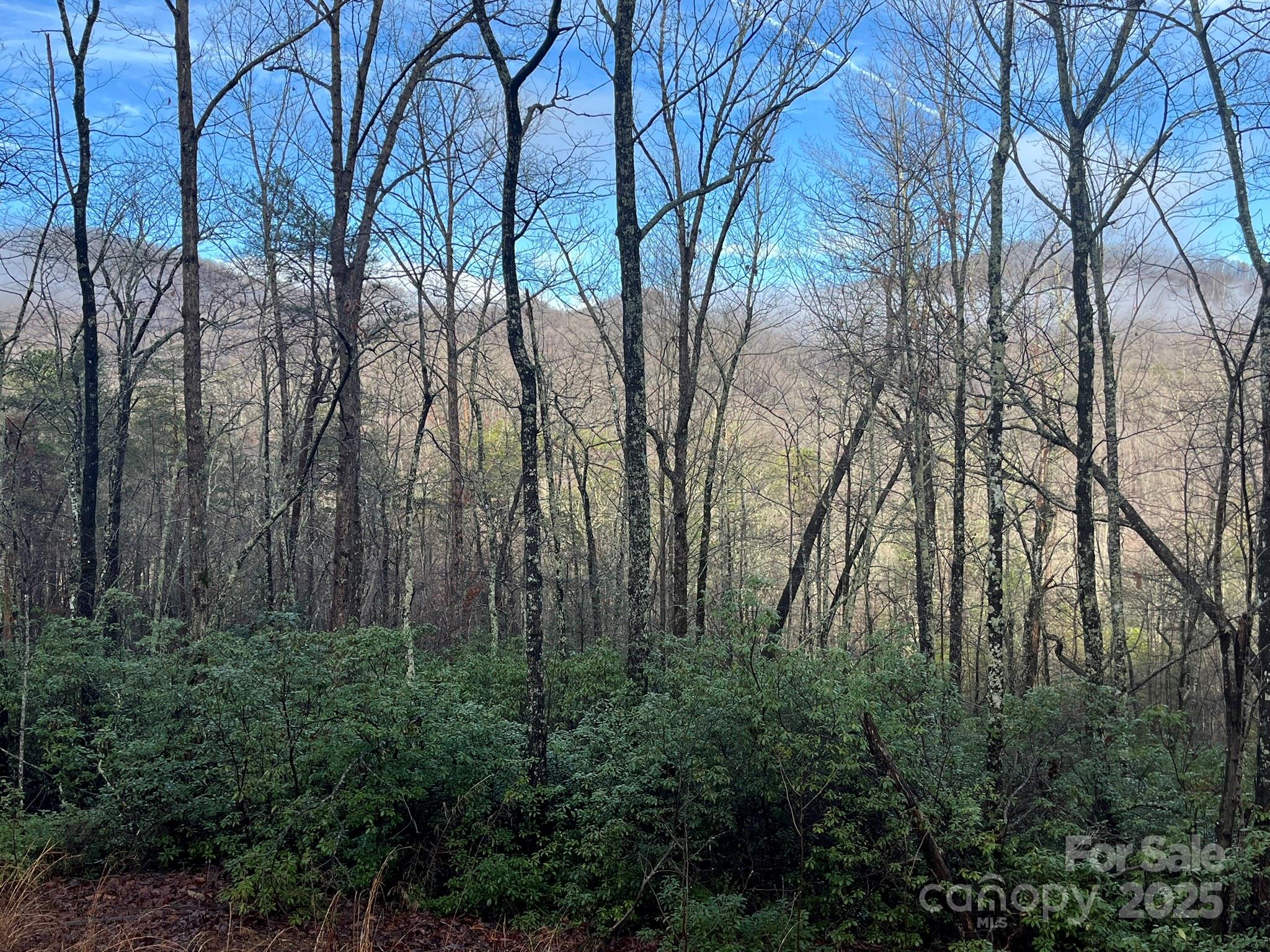 00 Ridgecrest Drive Lake Lure NC 28746