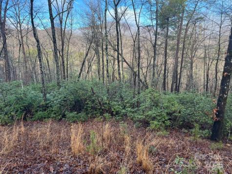 00 Ridgecrest Drive Lake Lure NC 28746