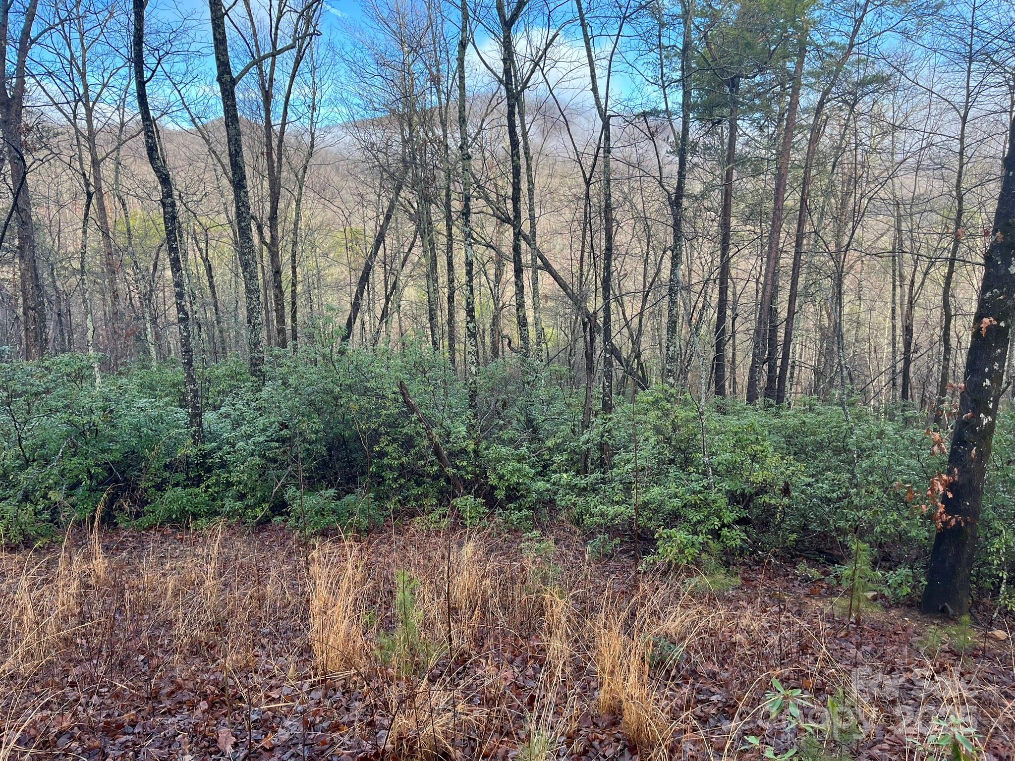 00 Ridgecrest Drive Lake Lure NC 28746