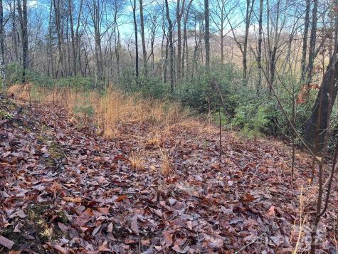 00 Ridgecrest Drive Lake Lure NC 28746