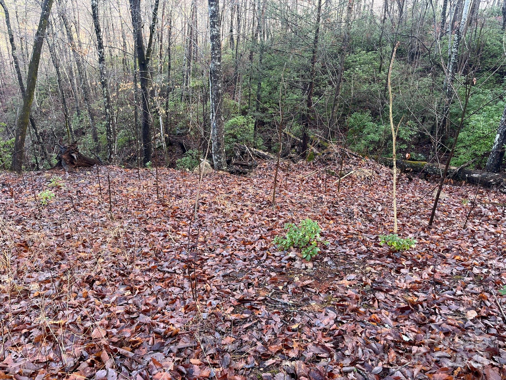 00 Ridgecrest Drive Lake Lure NC 28746