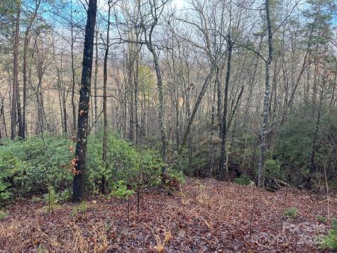 00 Ridgecrest Drive Lake Lure NC 28746