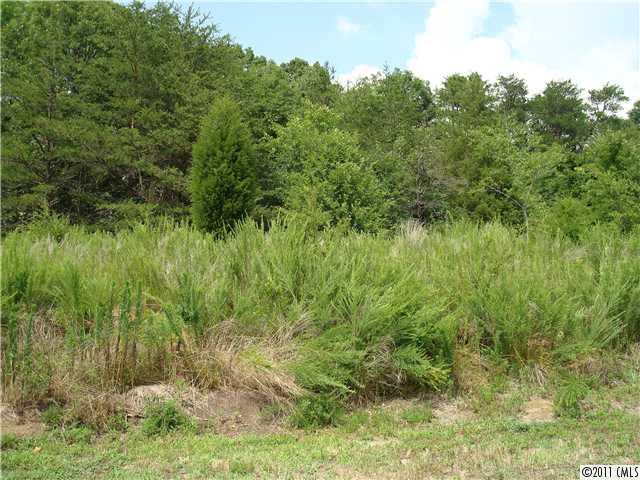 16645 Cobbleview Lane Huntersville NC 28078