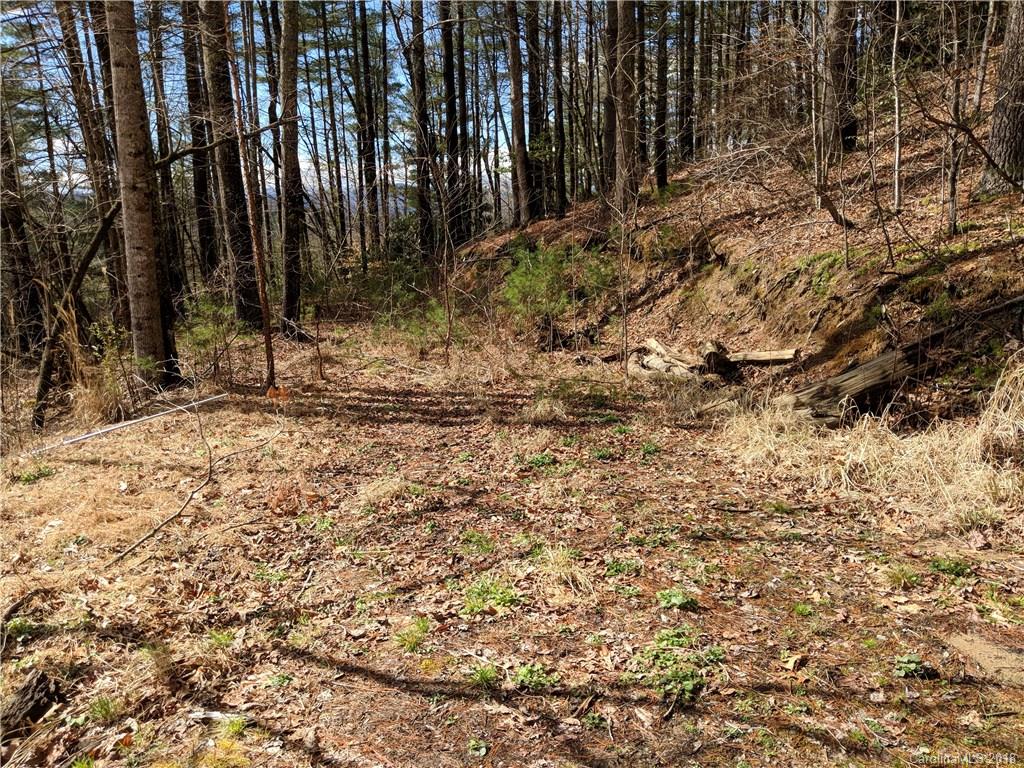 25 Treeland Road Hendersonville NC 28739