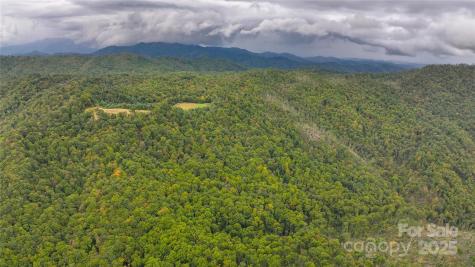 999 Poplar Creek Road Green Mountain NC 28740