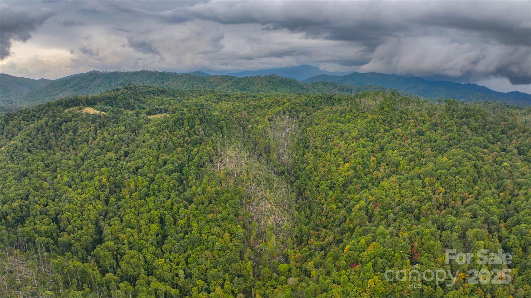 999 Poplar Creek Road Green Mountain NC 28740