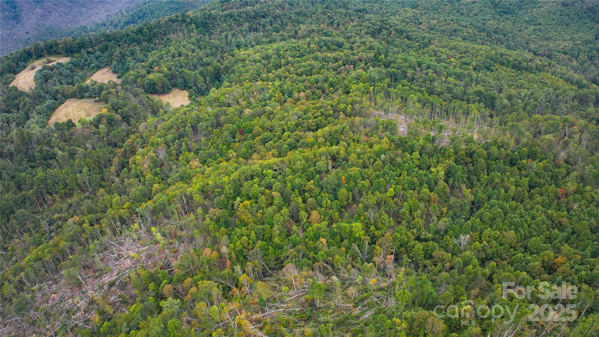 999 Poplar Creek Road Green Mountain NC 28740