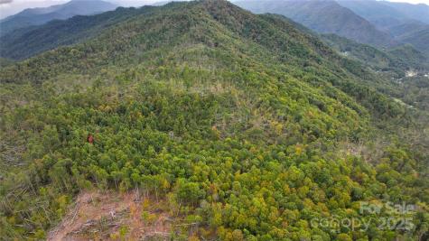 999 Poplar Creek Road Green Mountain NC 28740