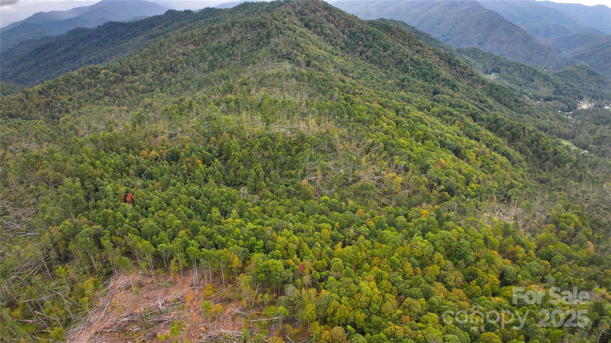 999 Poplar Creek Road Green Mountain NC 28740