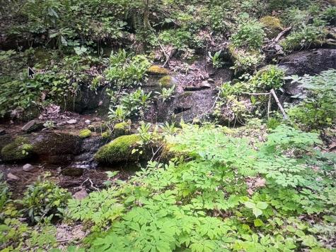 0 Huckleberry Walk Bryson City NC 28713