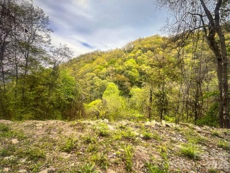 0 Huckleberry Walk Bryson City NC 28713
