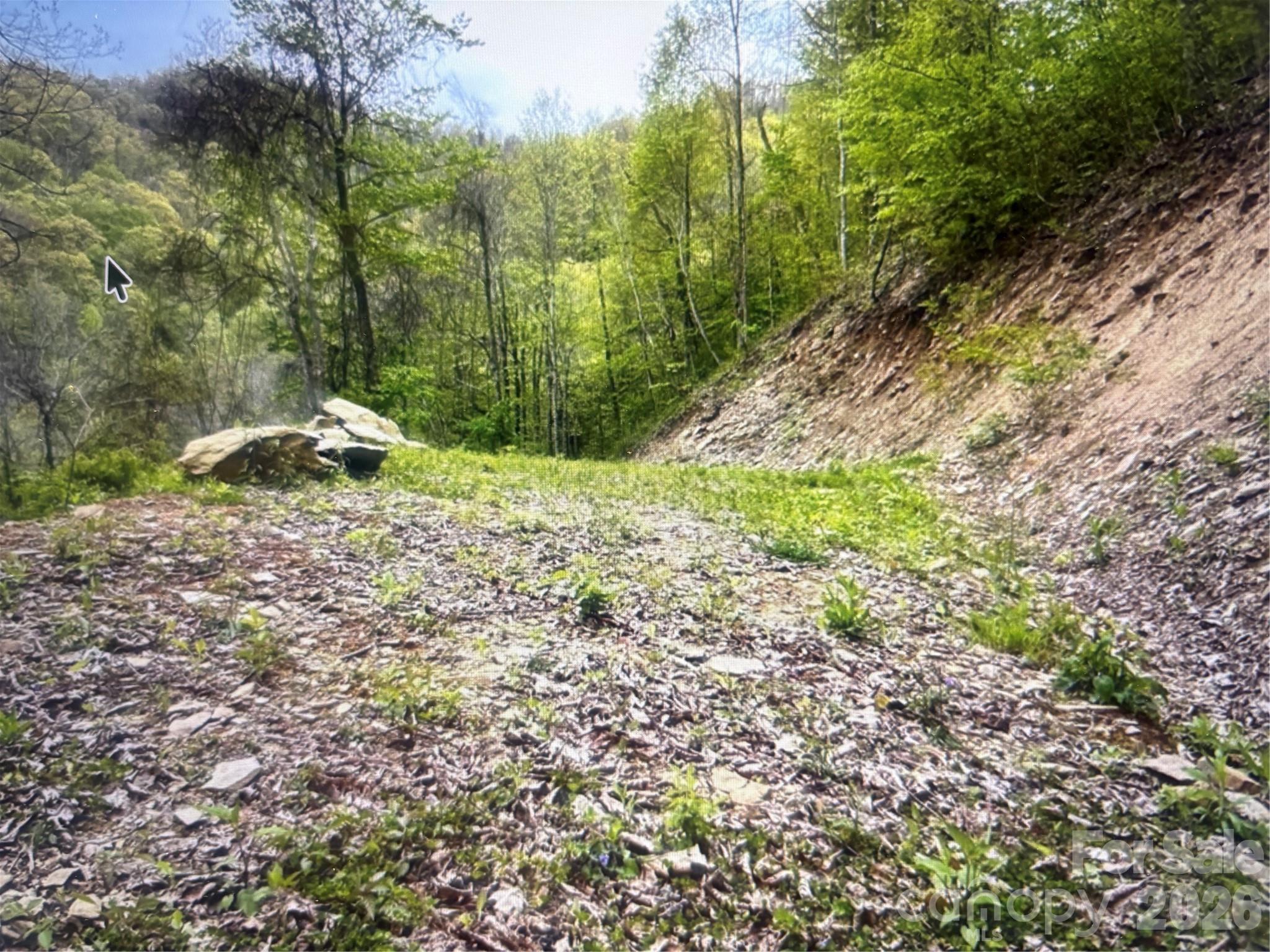 0 Huckleberry Walk Bryson City NC 28713