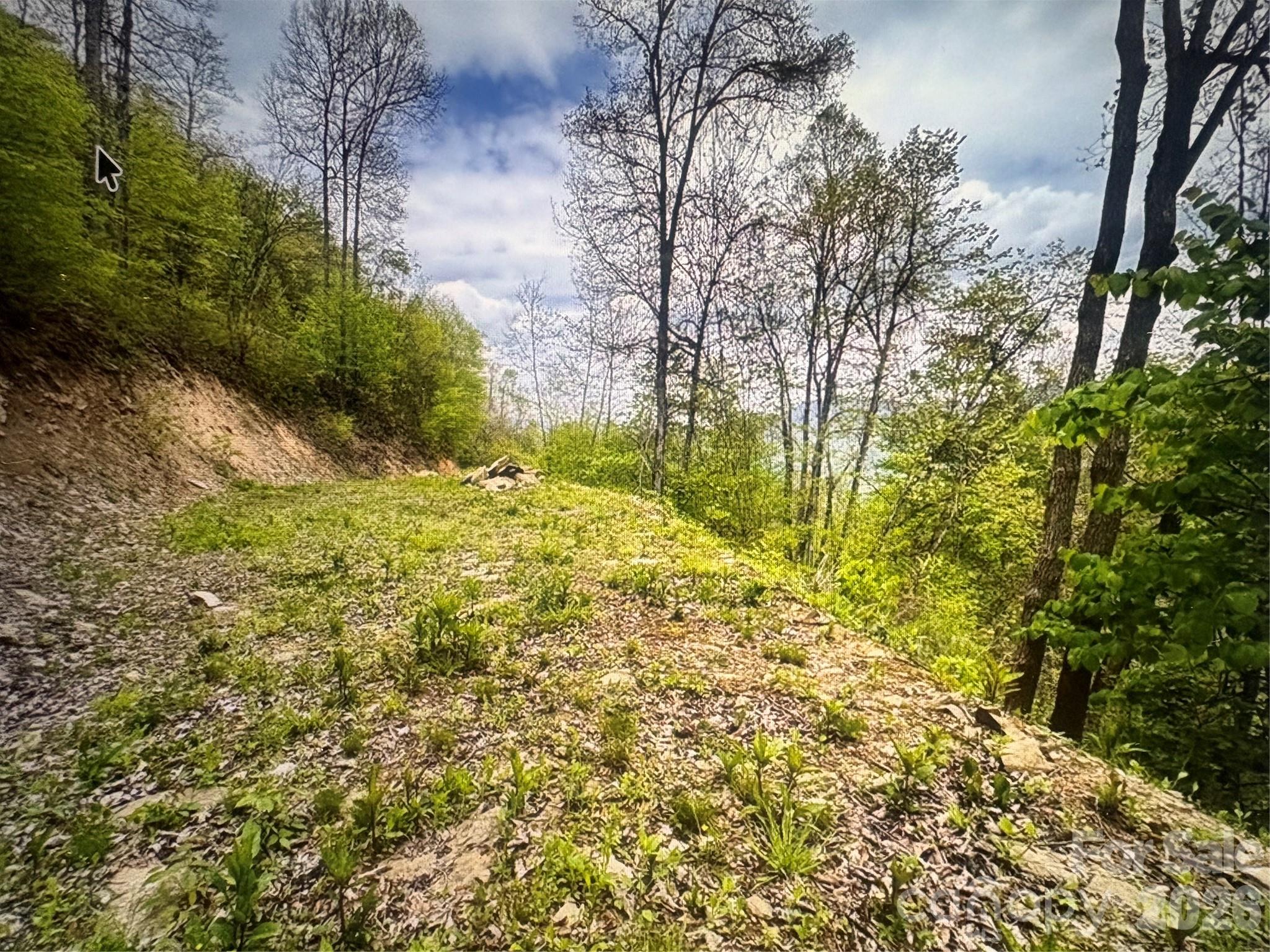0 Huckleberry Walk Bryson City NC 28713