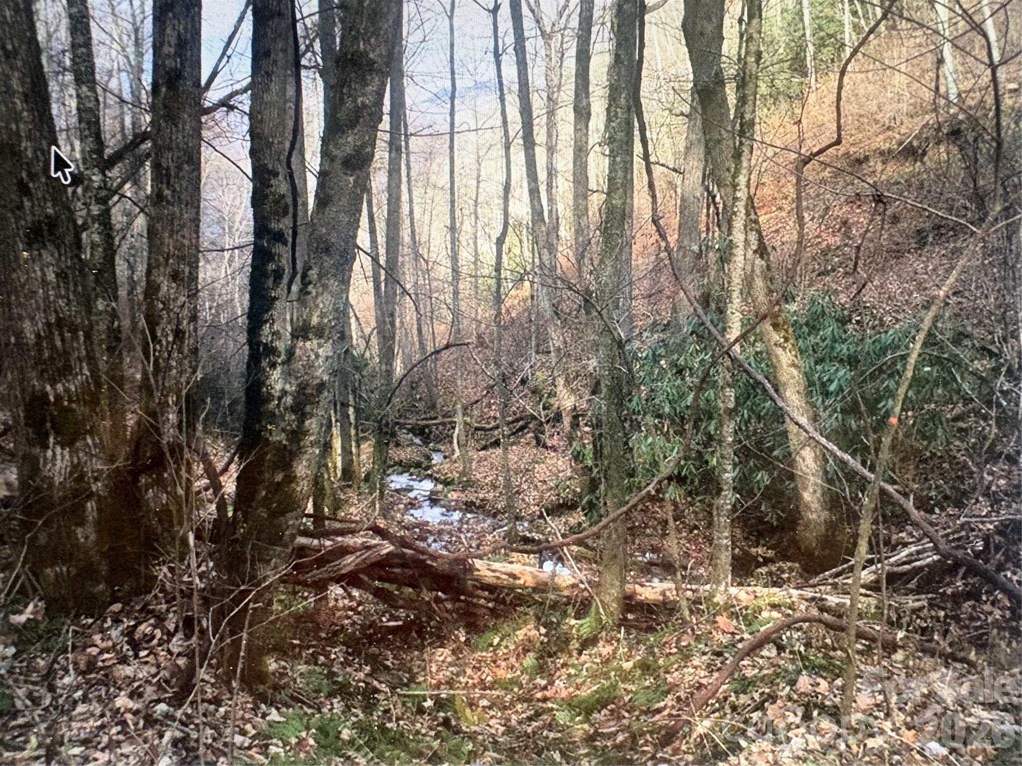 0 Huckleberry Walk Bryson City NC 28713