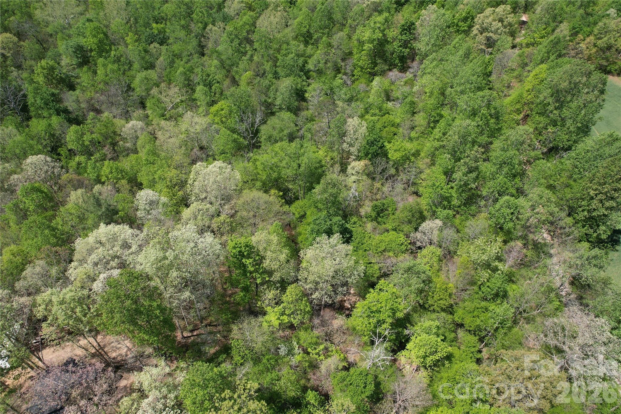 06 Hopewell Church Road Hiddenite NC 28636