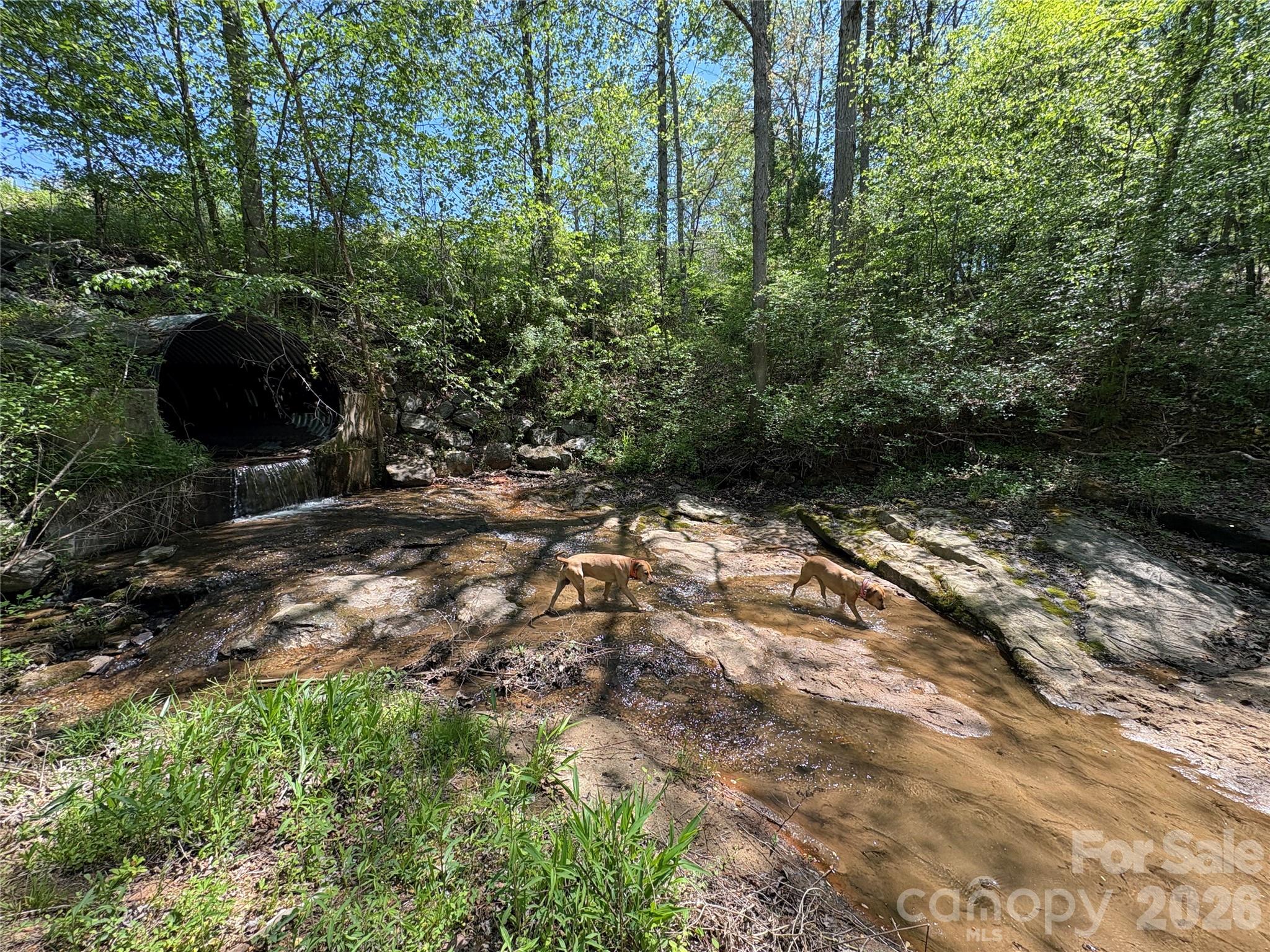06 Hopewell Church Road Hiddenite NC 28636