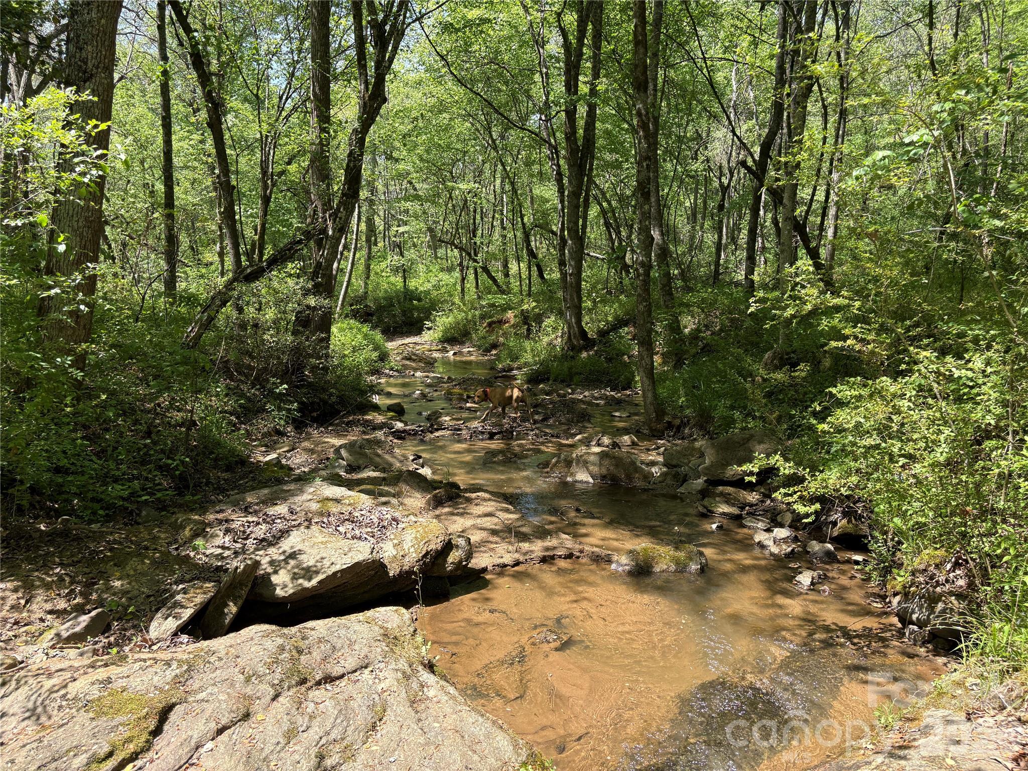 06 Hopewell Church Road Hiddenite NC 28636