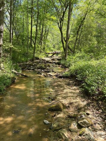 06 Hopewell Church Road Hiddenite NC 28636
