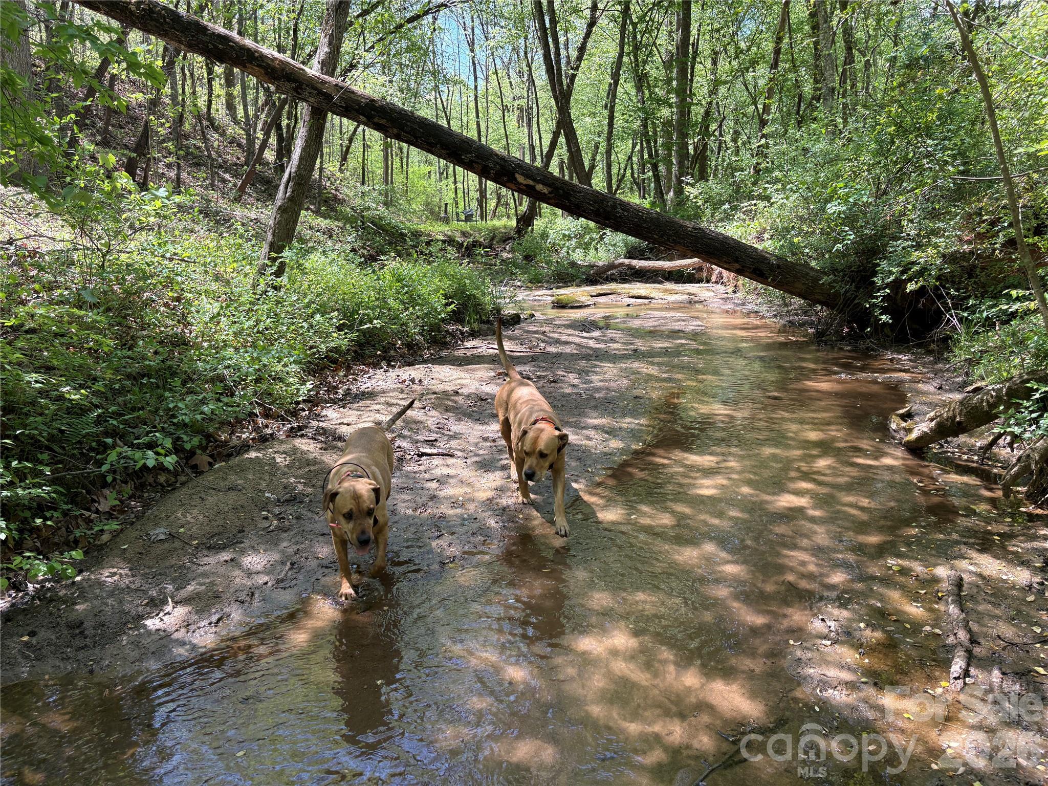 06 Hopewell Church Road Hiddenite NC 28636