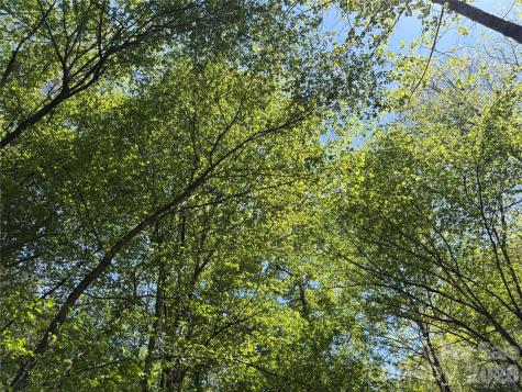 06 Hopewell Church Road Hiddenite NC 28636
