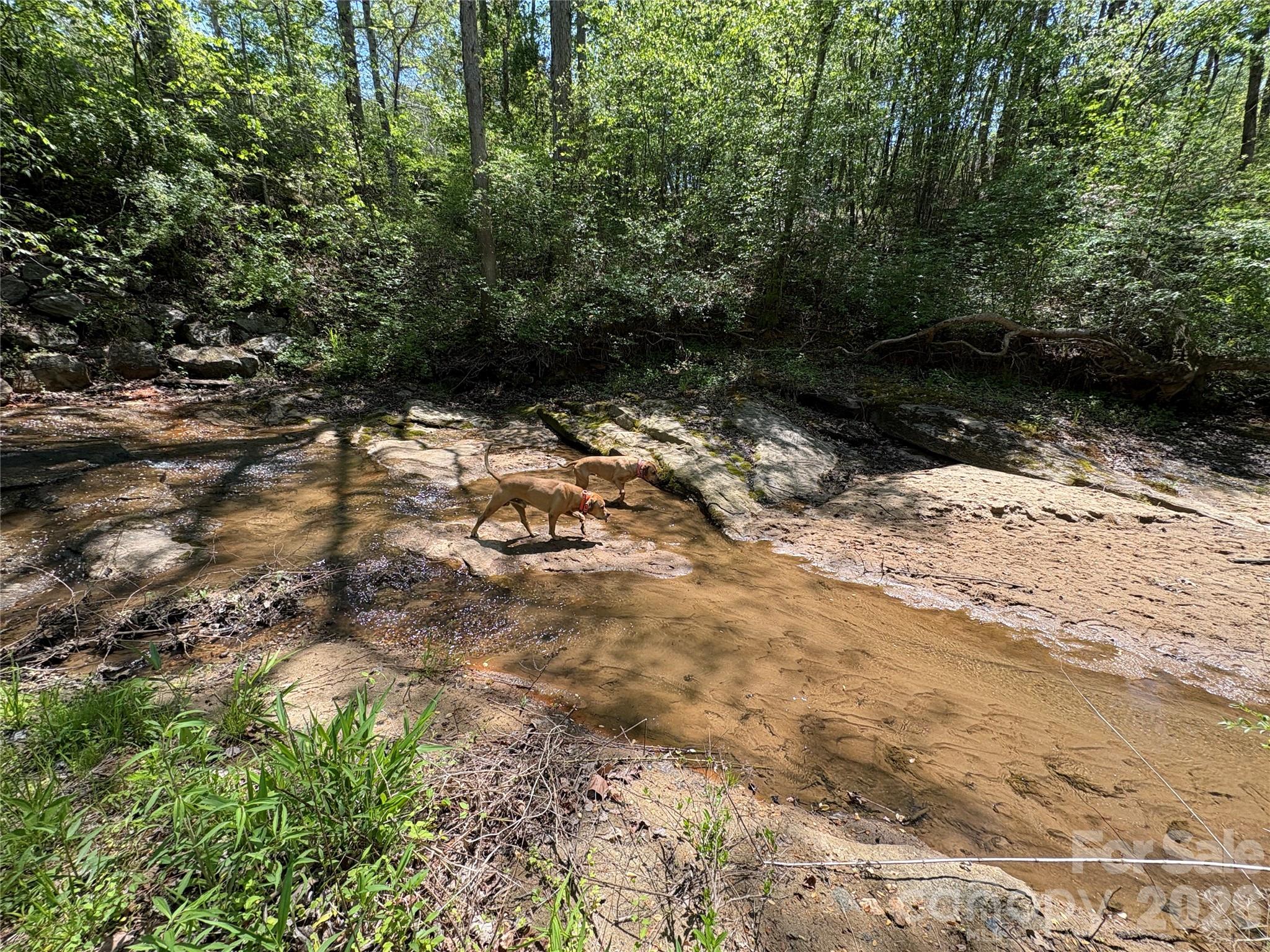 06 Hopewell Church Road Hiddenite NC 28636