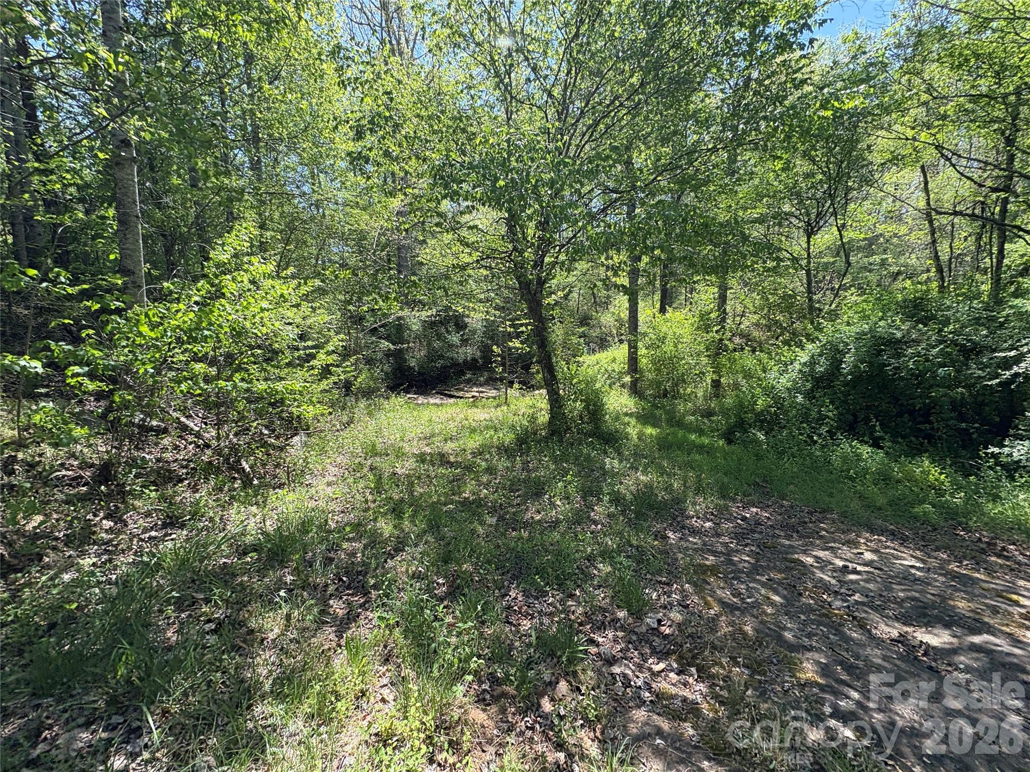 06 Hopewell Church Road Hiddenite NC 28636