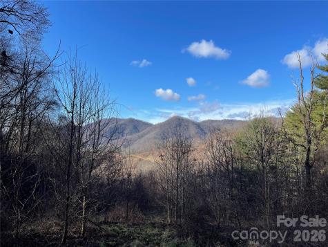 00 Wilson Cove Road Canton NC 28716
