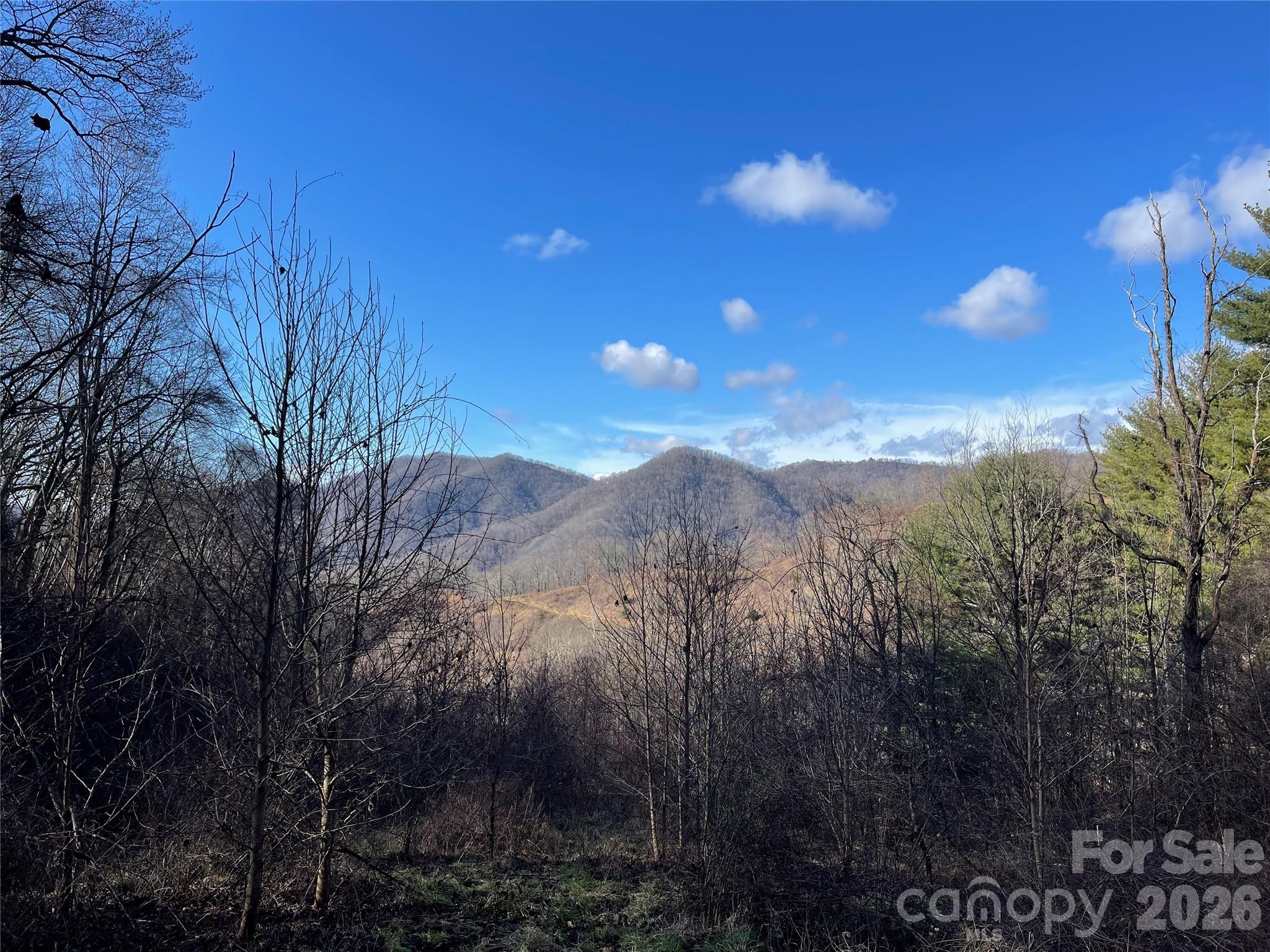 00 Wilson Cove Road Canton NC 28716