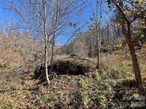 00 Wilson Cove Road Canton NC 28716