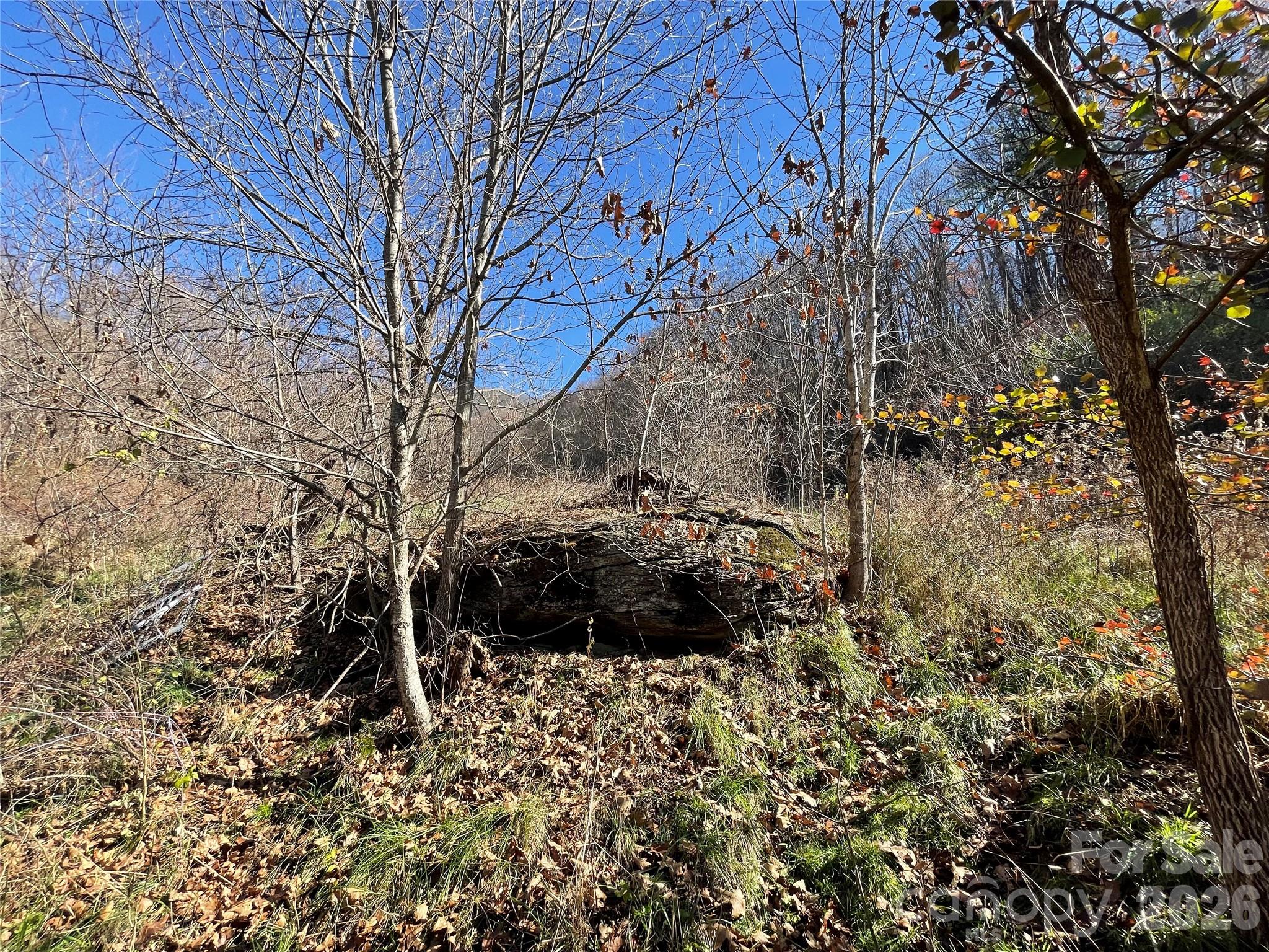 00 Wilson Cove Road Canton NC 28716