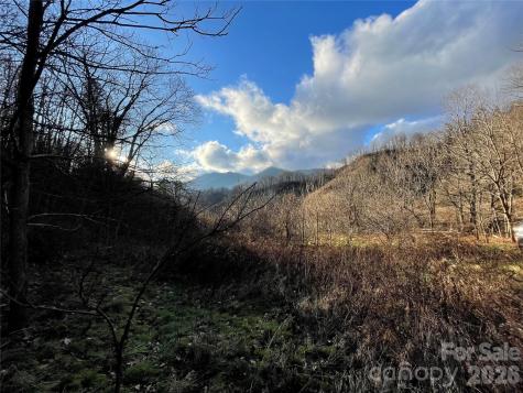 00 Wilson Cove Road Canton NC 28716