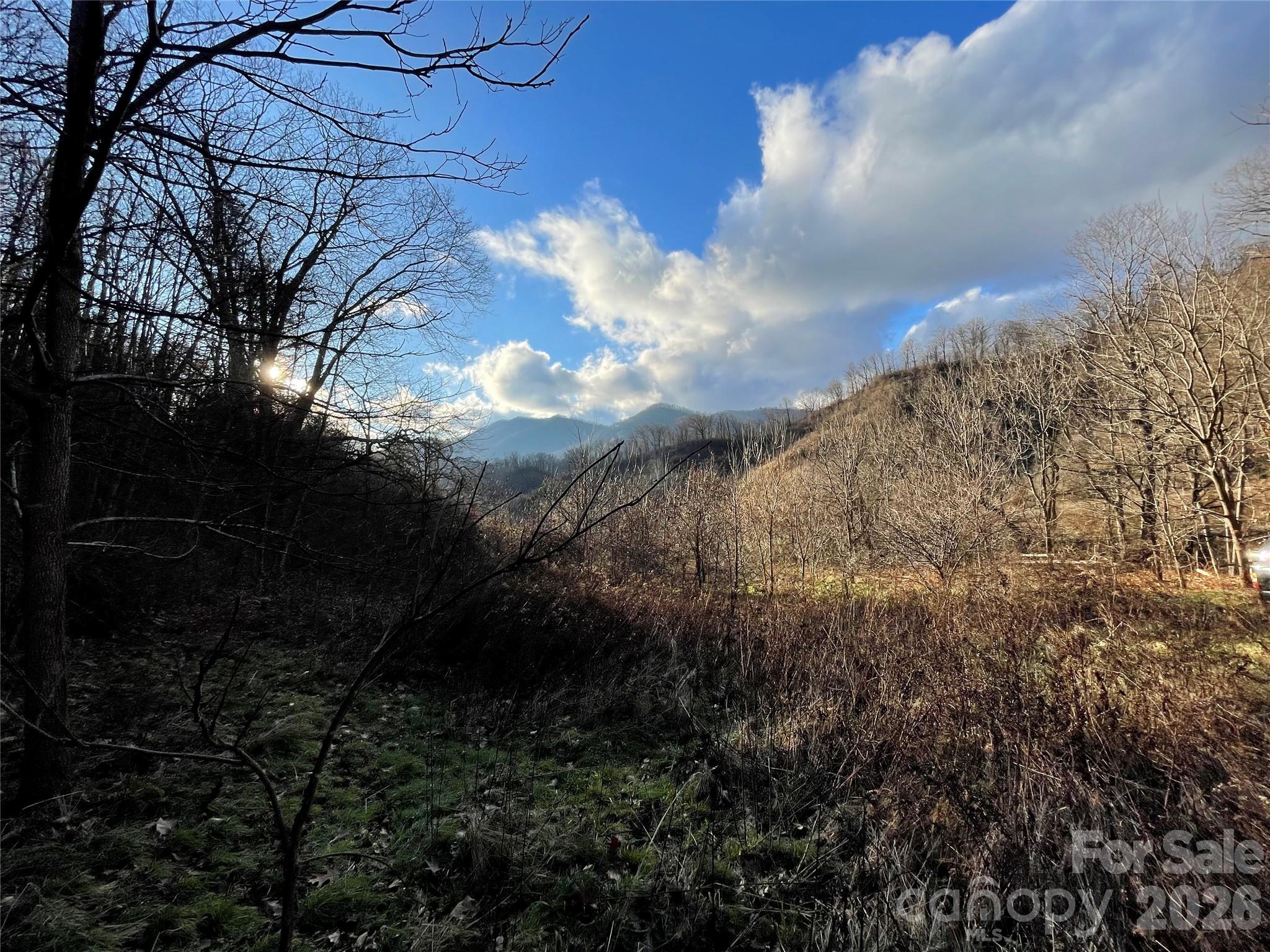 00 Wilson Cove Road Canton NC 28716