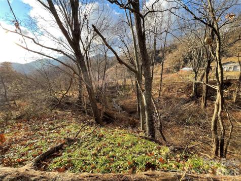 00 Wilson Cove Road Canton NC 28716