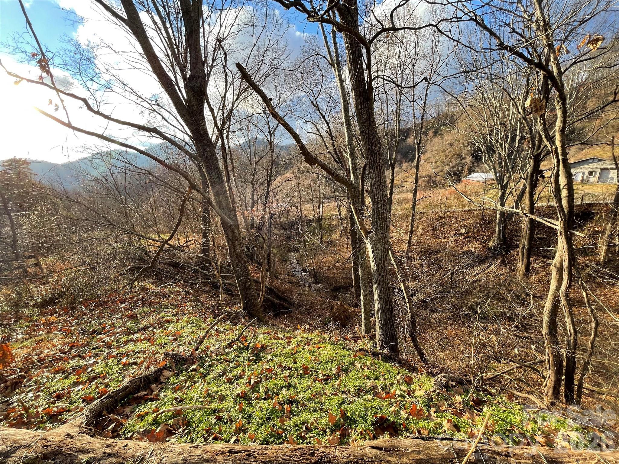 00 Wilson Cove Road Canton NC 28716