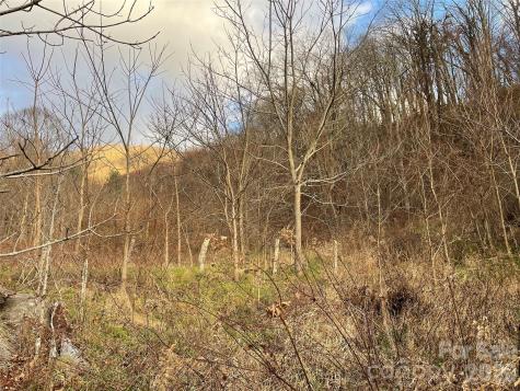 00 Wilson Cove Road Canton NC 28716