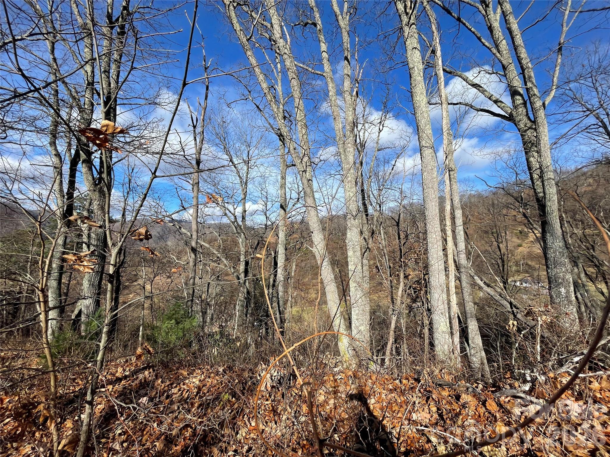 00 Wilson Cove Road Canton NC 28716