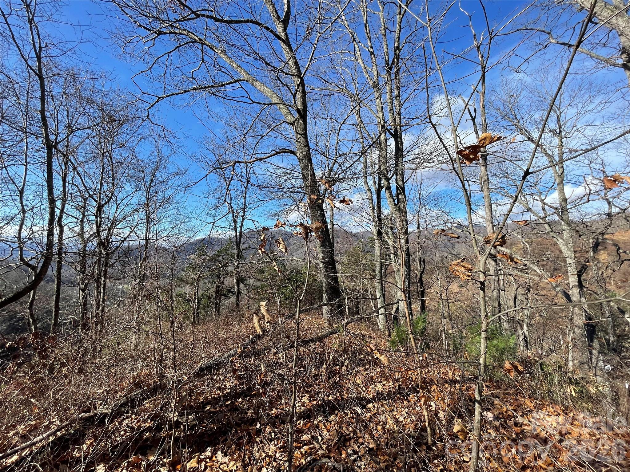 00 Wilson Cove Road Canton NC 28716