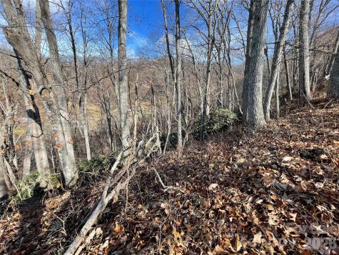 00 Wilson Cove Road Canton NC 28716