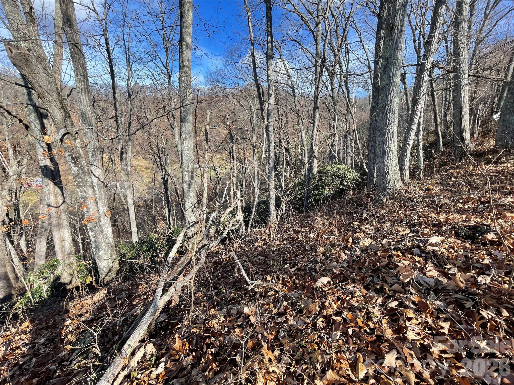 00 Wilson Cove Road Canton NC 28716