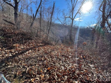 00 Wilson Cove Road Canton NC 28716