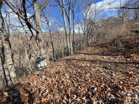 00 Wilson Cove Road Canton NC 28716