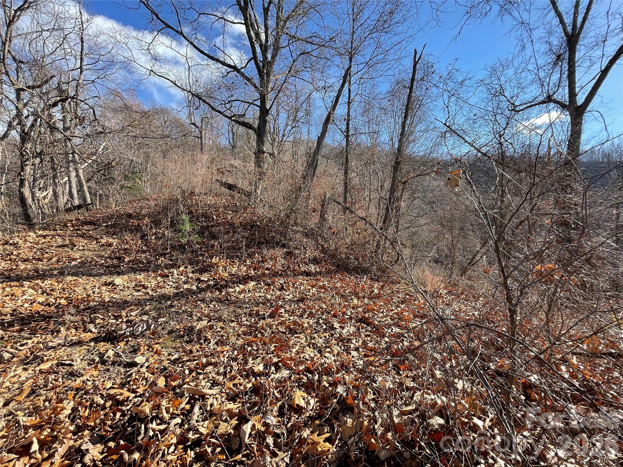 00 Wilson Cove Road Canton NC 28716