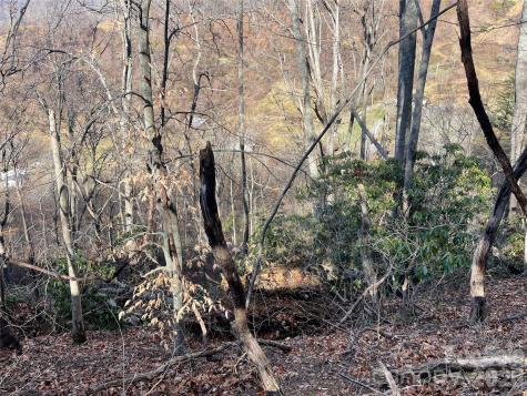 00 Wilson Cove Road Canton NC 28716