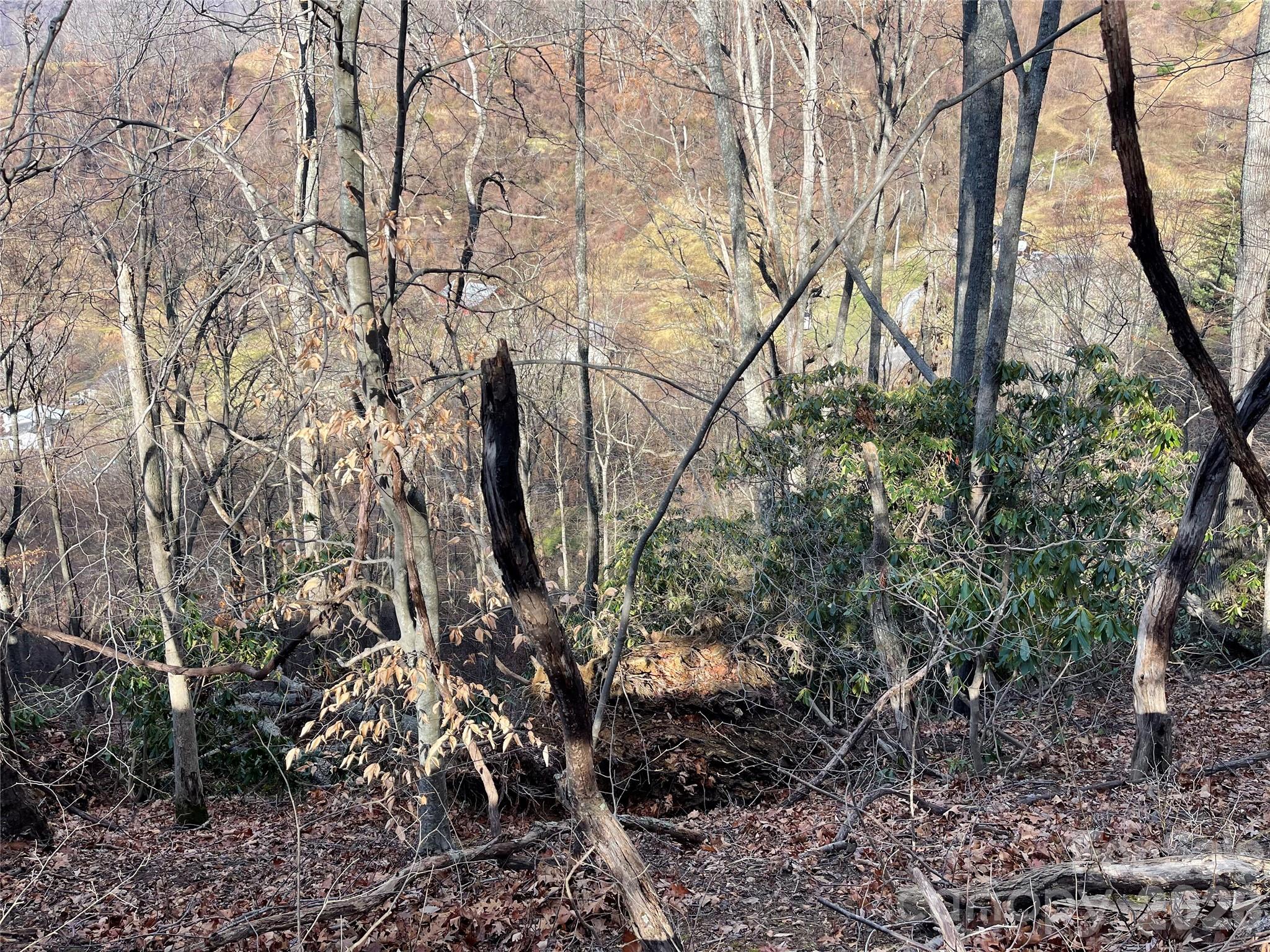 00 Wilson Cove Road Canton NC 28716