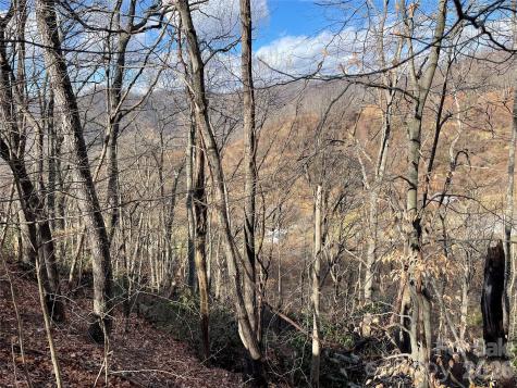 00 Wilson Cove Road Canton NC 28716