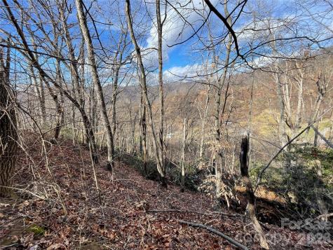 00 Wilson Cove Road Canton NC 28716