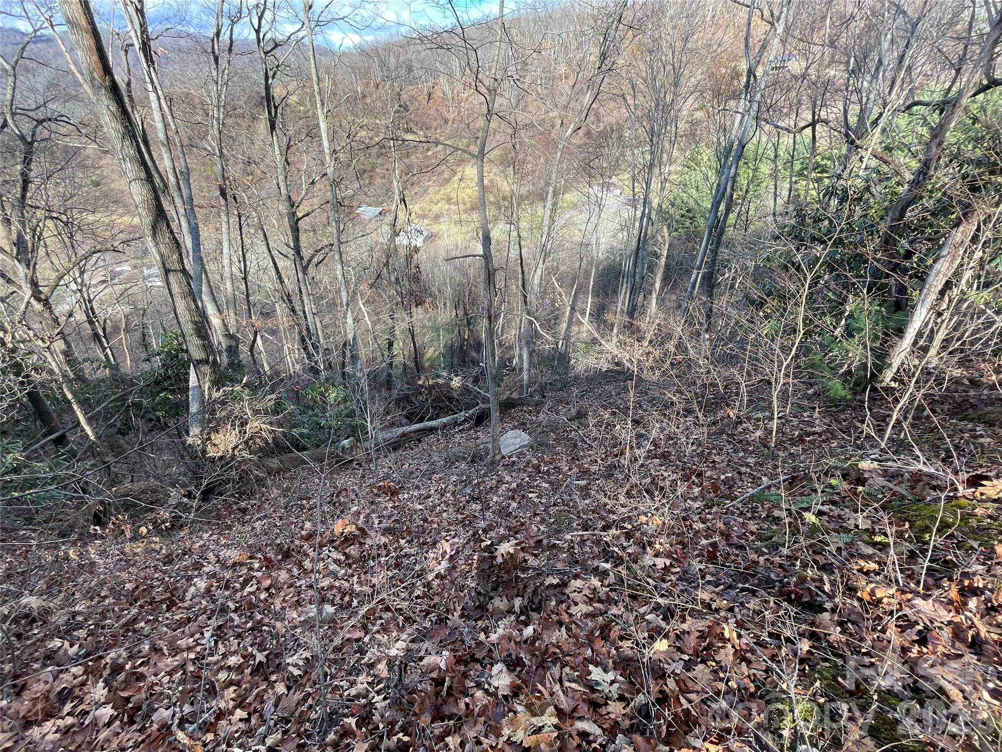 00 Wilson Cove Road Canton NC 28716